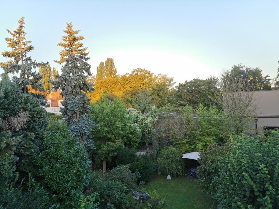 Petit Nid Apartment Strasbourg Exterior foto
